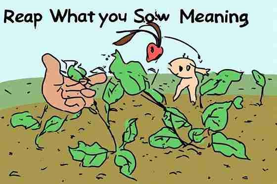 Reap What You Sow Meaning